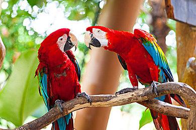 《地狱之刃2：塞娜的献祭》将明年重启开发日志